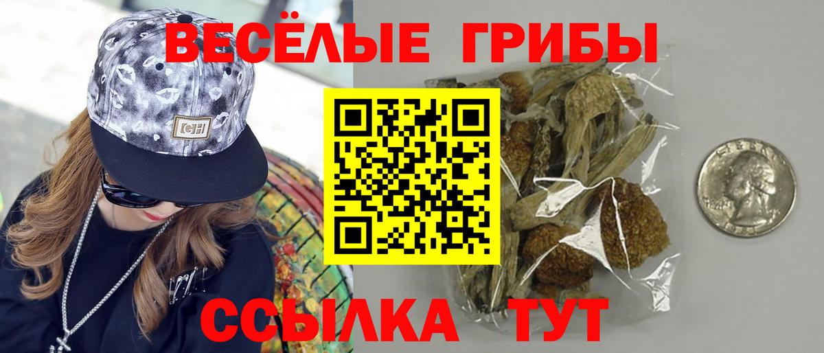 Галлюциногенные грибы мухоморы  Вход с VPN  Строитель 